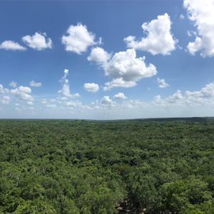 Meet your Posher, Connor